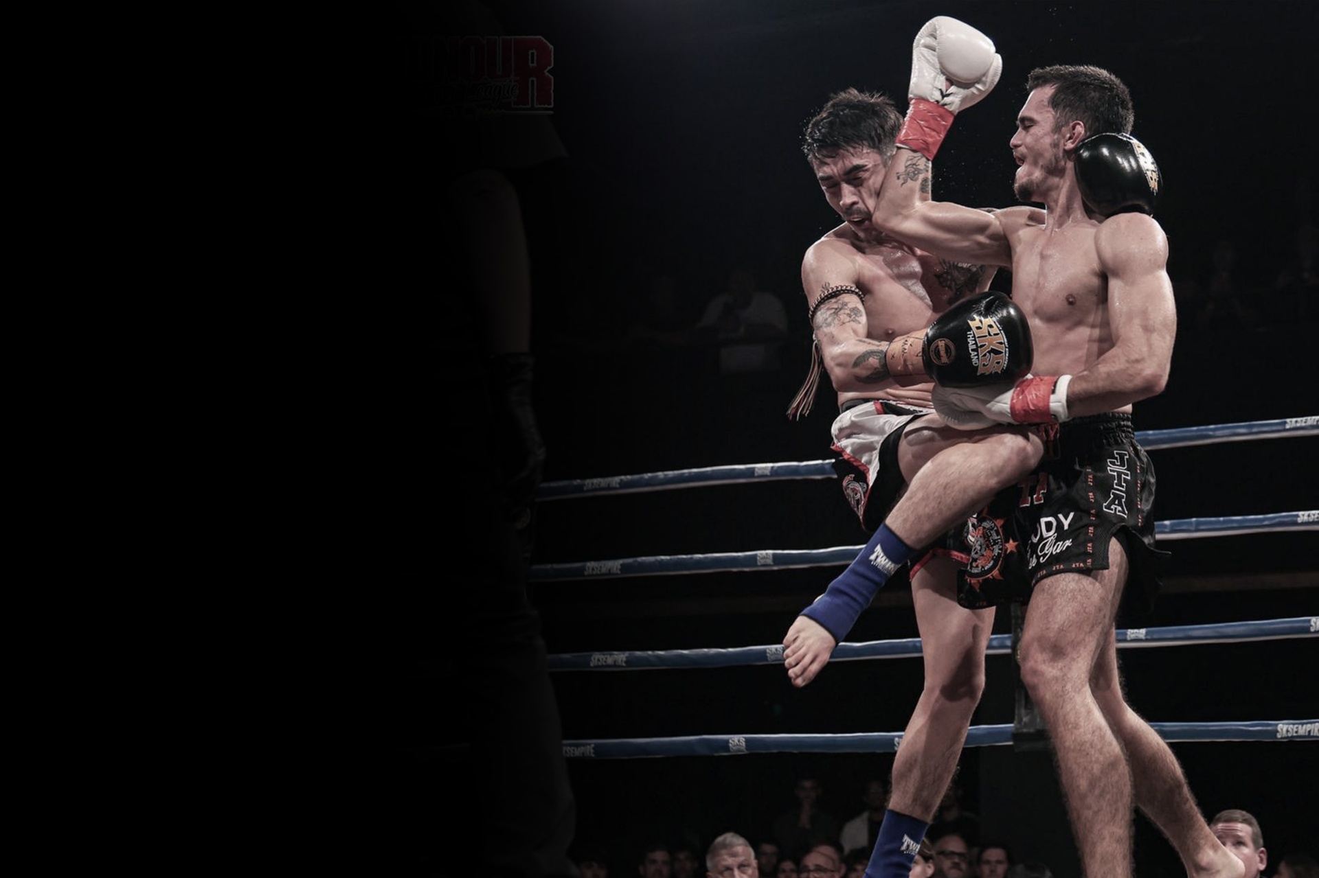 JTA Lee Gar fighter throwing a flying knee